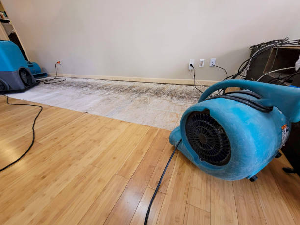 Professional Structural Drying technician working in Dayton, IA